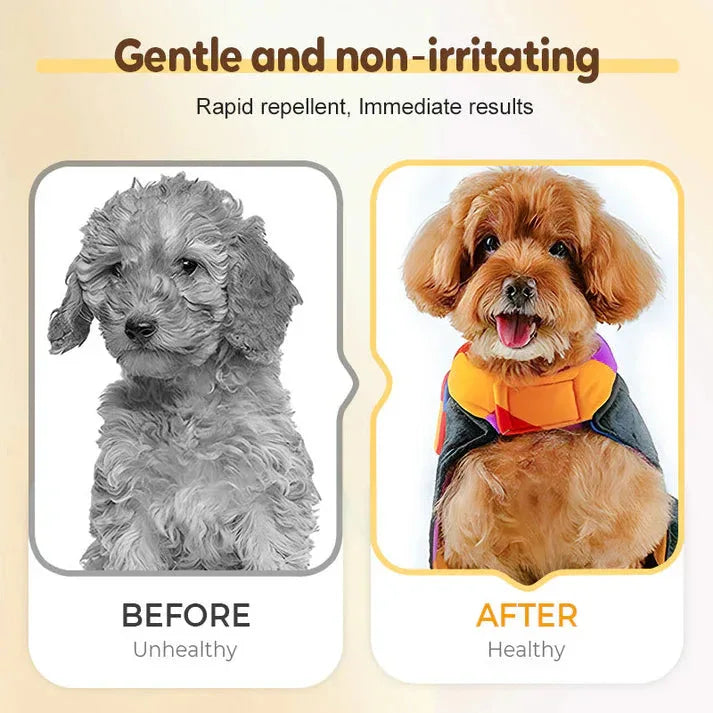 🐛Buy 1 get 1 free🐱Flea and tick repellent spray for cats and dogs🐶 - Best2Have