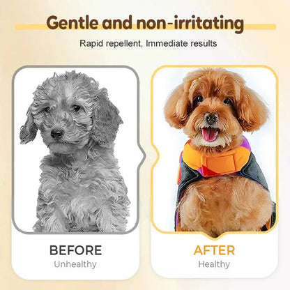 🐛Buy 1 get 1 free🐱Flea and tick repellent spray for cats and dogs🐶 - Best2Have