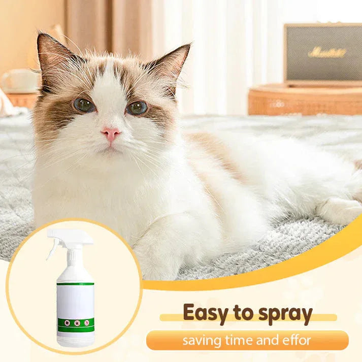 🐛Buy 1 get 1 free🐱Flea and tick repellent spray for cats and dogs🐶 - Best2Have