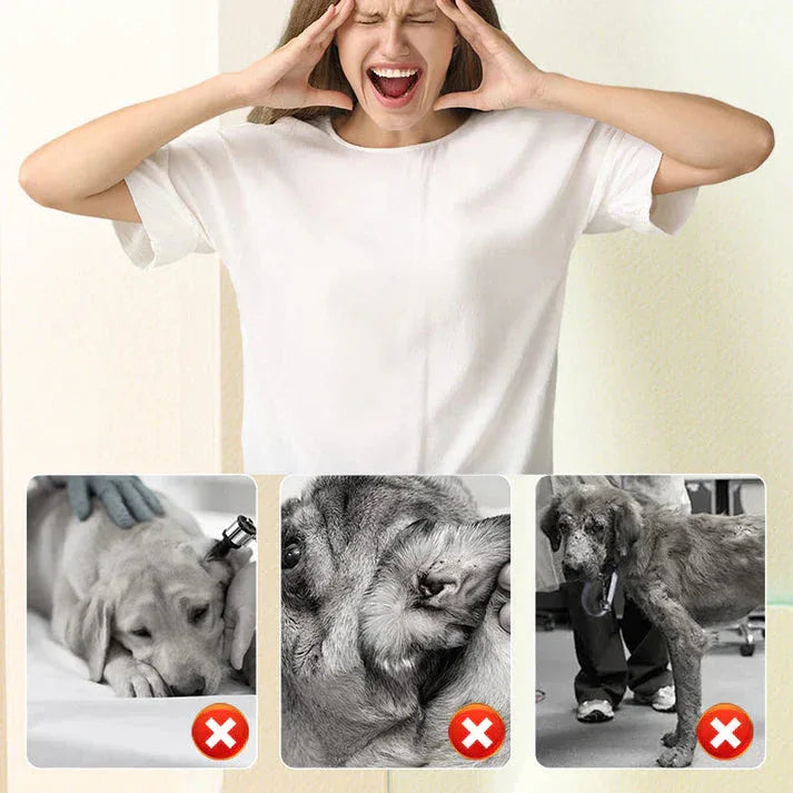 🐛Buy 1 get 1 free🐱Flea and tick repellent spray for cats and dogs🐶 - Best2Have