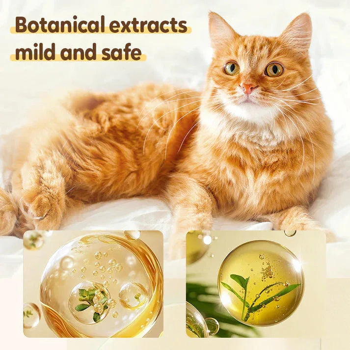 🐛Buy 1 get 1 free🐱Flea and tick repellent spray for cats and dogs🐶 - Best2Have